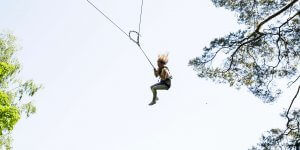 big swing 300x150 Big swing   sūpynės Tarzanijoje